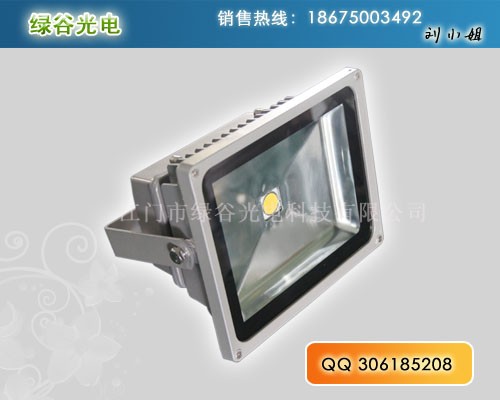 供应专业户外LED投光灯制造商